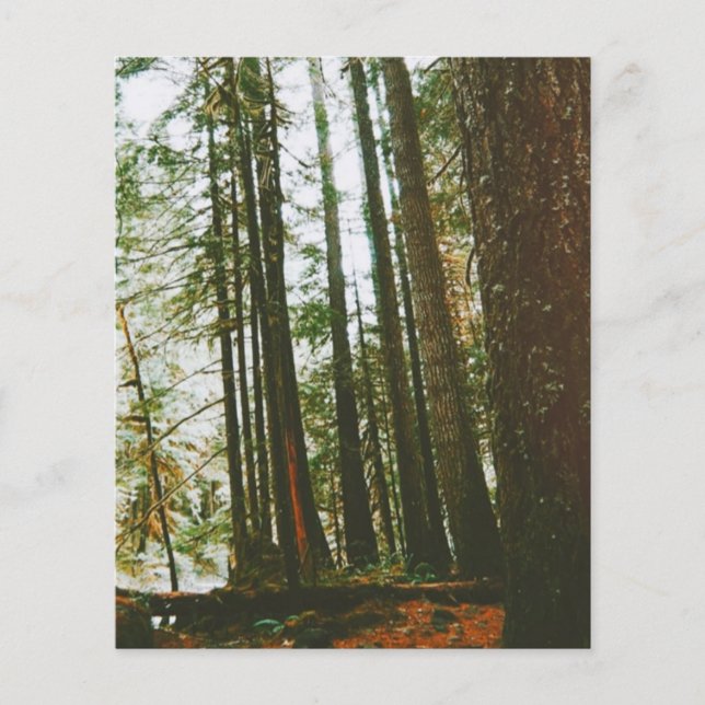 Flyer Funda Speck (Frente)