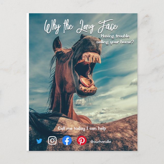 Flyer funny real estate postcard long face horse (Frente)