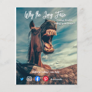 Flyer funny real estate postcard long face horse