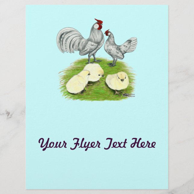 Flyer Gallas enanas Rosecomb y pollitos (Frente)