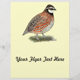 Flyer Gallo de codorniz Bobwhite