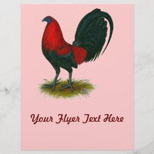 Flyer Gamecock americano: Rojo marrón