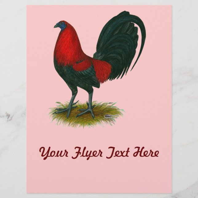 Flyer Gamecock americano: Rojo marrón (Frente)