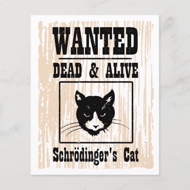 Flyer Gato de Schrodinger Buscado (Frente)