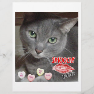Flyer Gato gris azul ruso el día de San Valentín