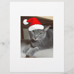 Flyer Gato gris azul ruso navidad