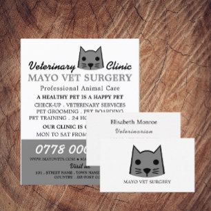 Flyer Gato gris, veterinario, servicio veterinario