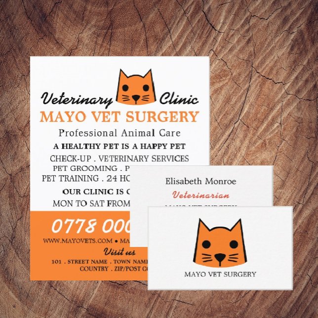 Flyer Gato naranja, veterinario, servicio veterinario (Subido por el creador)