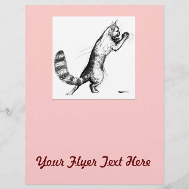 Flyer Gato saltando2 (Frente)