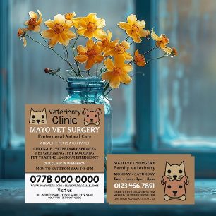 Flyer Gato y perro, veterinario, servicio veterinario