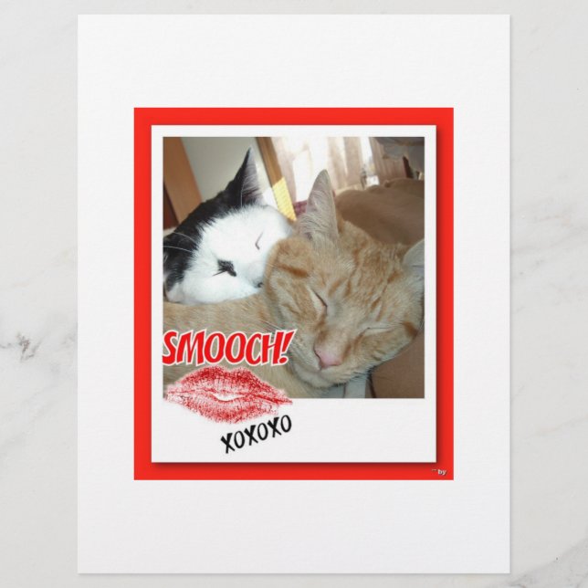 Flyer Gatos atigrados del Día de San Valentín (Frente)