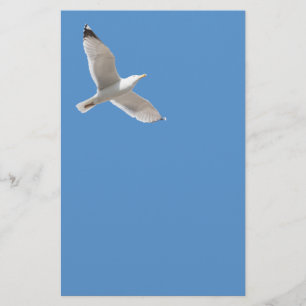 Flyer Gaviota voladora