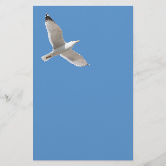 Flyer Gaviota voladora (Frente)