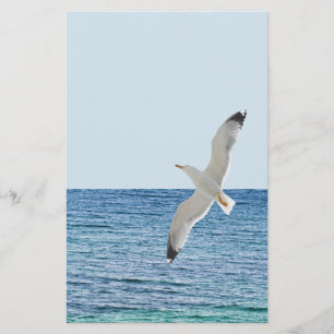 Flyer Gaviota volando sobre el mar