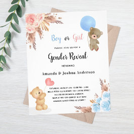 Flyer Género revelar pampas tady oso presupuesto de la p