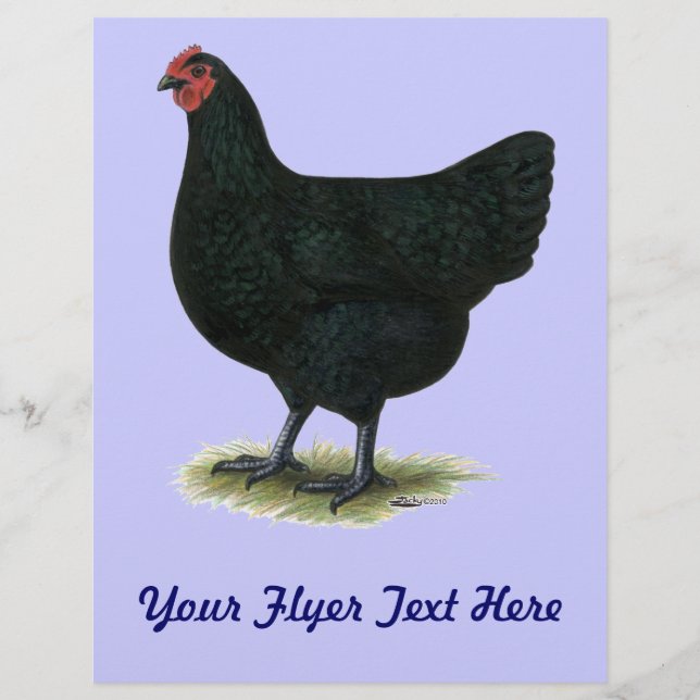 Flyer Gigante de Jersey: Black Hen (Frente)