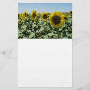 Flyer Girasol
