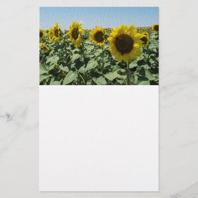 Flyer Girasol (Frente)