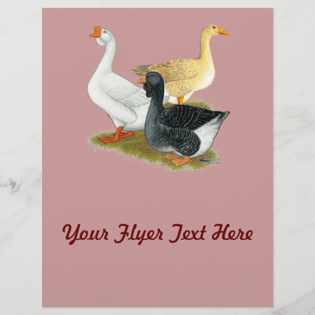 Flyer Goose Trio (Frente)