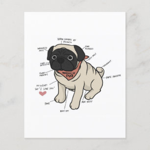 Flyer Gráfico de anatomía del perro Pug
