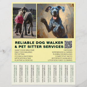 Flyer Gran Danés Walker Simple Franja