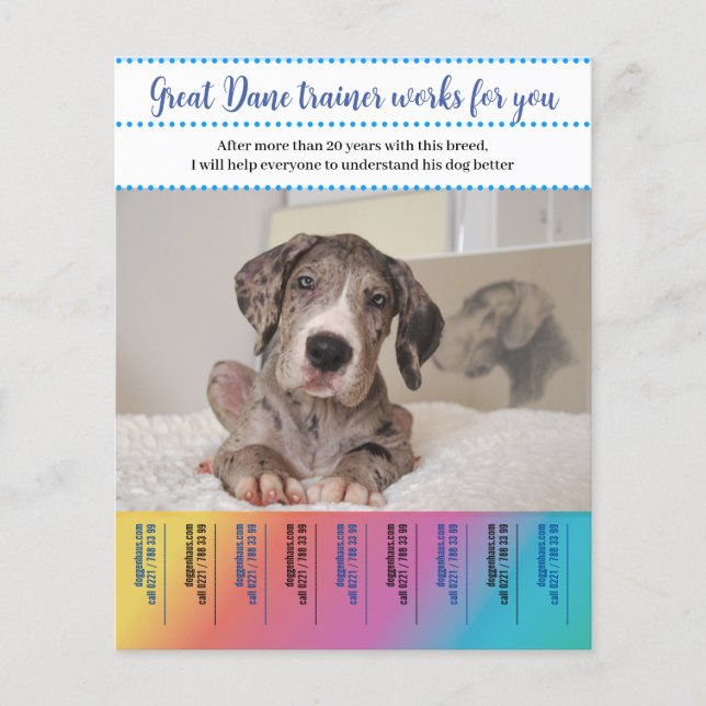 Flyer Gran entrenador de perros dane (Frente)