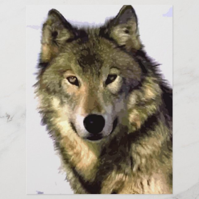Flyer Gray Wolf (Frente)
