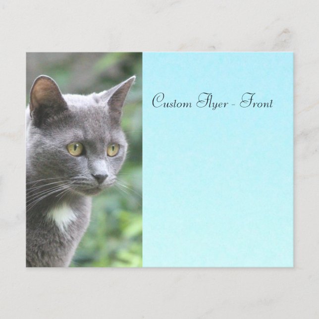 Flyer Gris Kitty Con Azul (Frente)