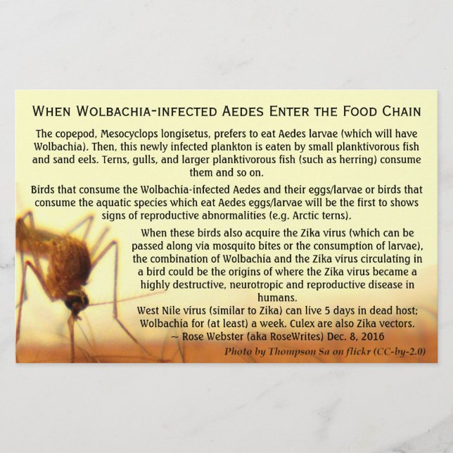 Flyer Hechos: Aedes, infectada por Wolbachia, de RoseWri (Frente)