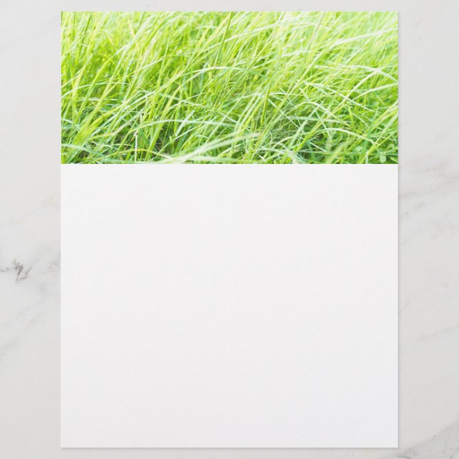 Flyer Hierba verde (Frente)