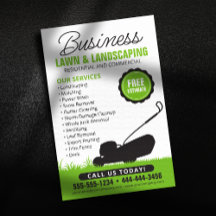 Hockey Green White Lawn Landscaping Service Lawnca