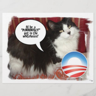 Flyer Humor político/mascota de Obama