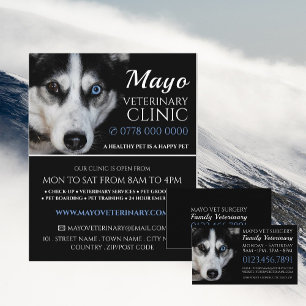 Flyer Husky, Veterinario, Servicio Veterinario