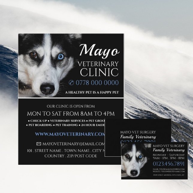 Flyer Husky, Veterinario, Servicio Veterinario (Subido por el creador)