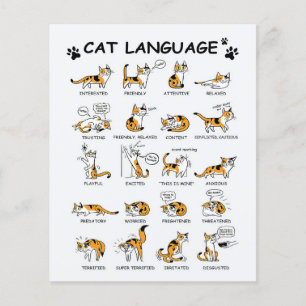 Flyer Idioma del gato, gatito gracioso, idea de regalo d