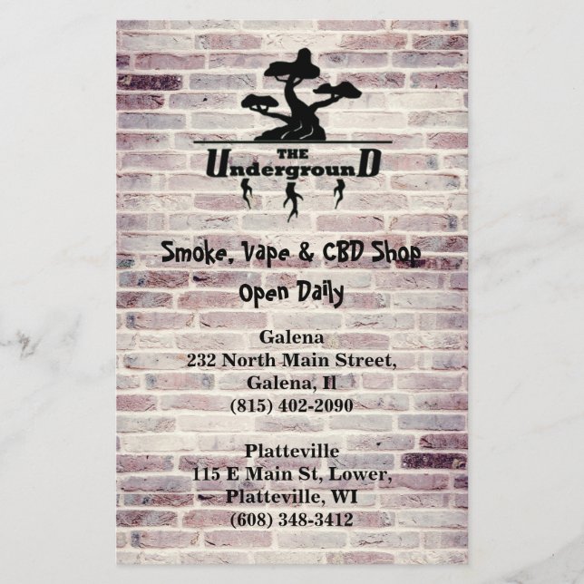 Flyer Información sobre logotipos y direcciones empresar (Frente)