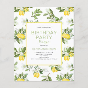Flyer Invitación para picnic de cumpleaños de Budget Lem