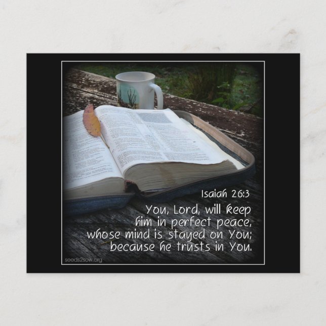 Flyer Isaiah 26v3 - Paz perfecta - Biblia (Frente)