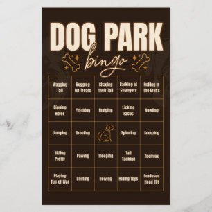 Flyer Juego interactivo de bingo en el parque de perros