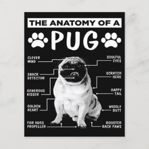 Flyer La Anatomía De Un Perro De Pug Lover
