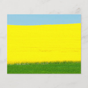 Flyer Landscape Meadow