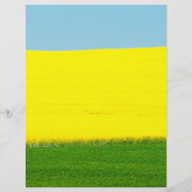 Flyer Landscape Meadow (Frente)