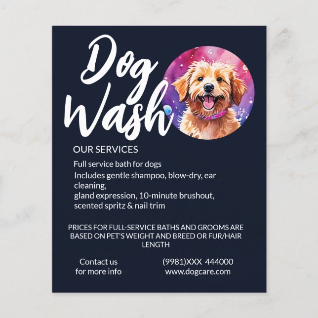 Flyer lavado de perros (Frente)