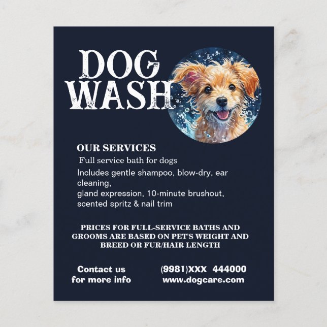 Flyer lavado de perros (Frente)