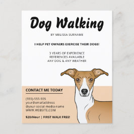 Flyer Lebrel Italiano Castaño y Blanco - Paseador de Per