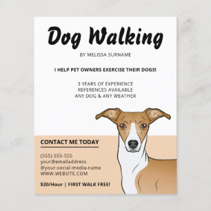 Flyer Lebrel Italiano Castaño y Blanco - Paseador de Per