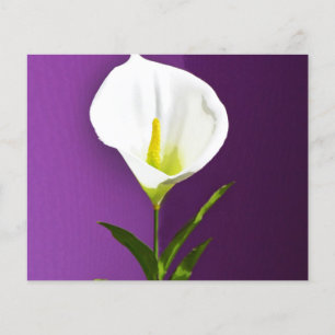 Flyer Lirio Calla