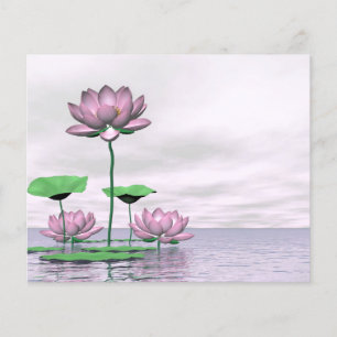 Flyer Lirios de agua rosados y flores de loto