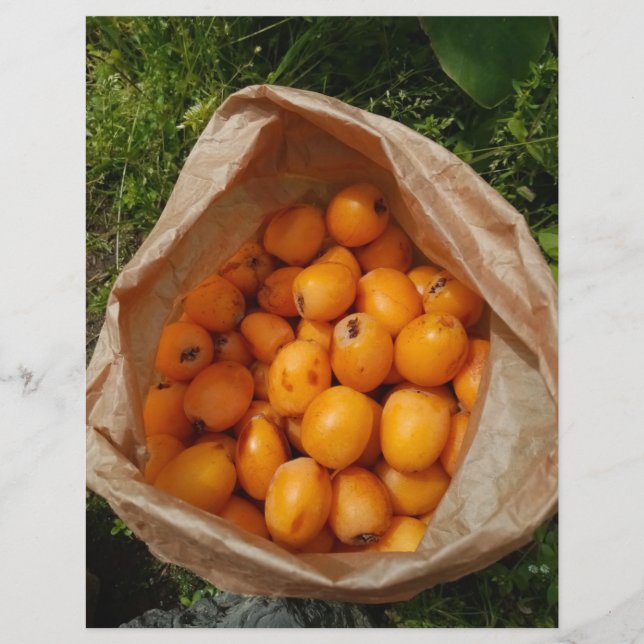 Flyer Loquetas frescas (Frente)