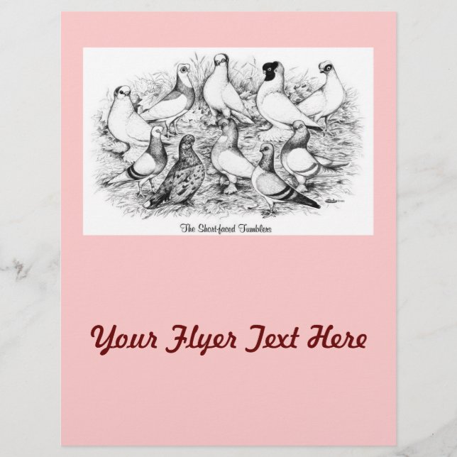 Flyer Los Tumblers de corto rostro (Frente)